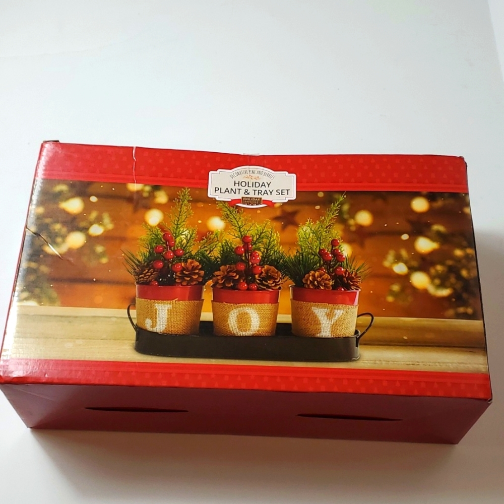 Holiday Joy plant and tray set